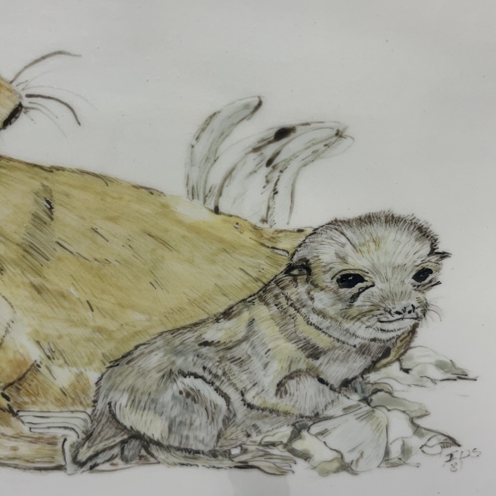 Seals - Picture 3 of 10